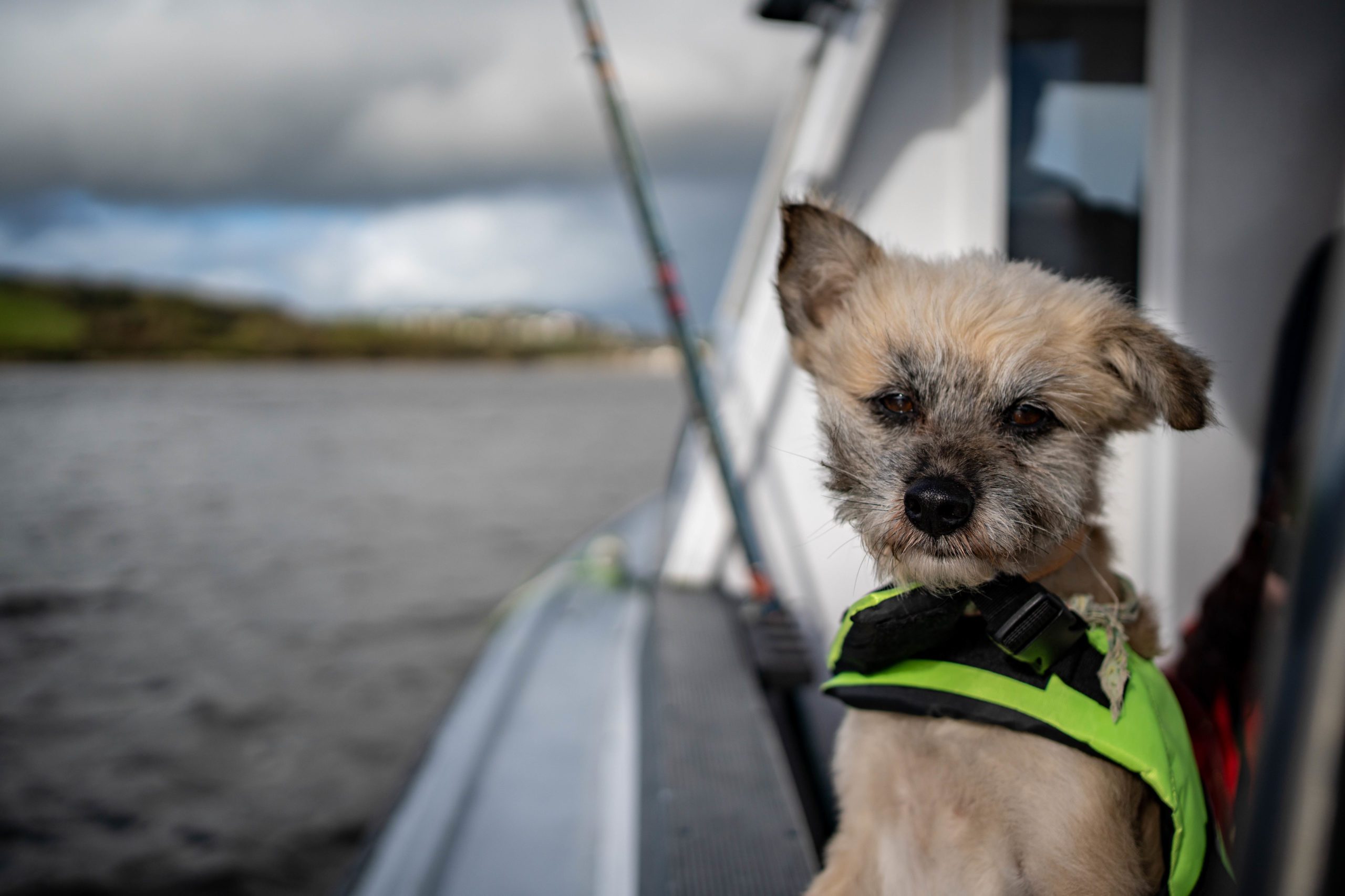 kinsale boat tour, kinsale boat tours, kinsale boat trip, kinsale harbour boat trip, kinsale harbour boat tour